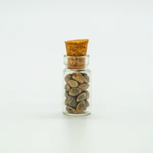 Motorbreath x Coffin Candy Seed