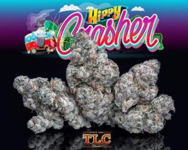 Jungle Boys Hippy Crasher