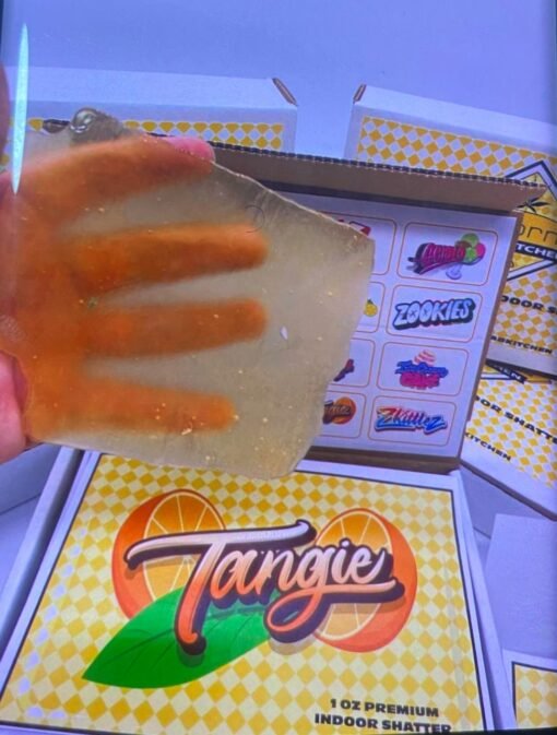 California Kitchen Slabs concentrate