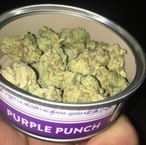 Purple Punch SmartBud