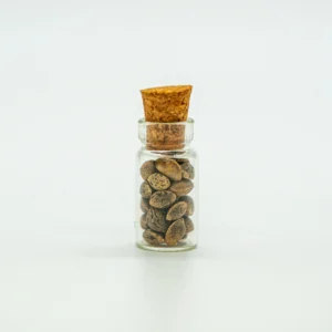 Runtz x Coffin Candy