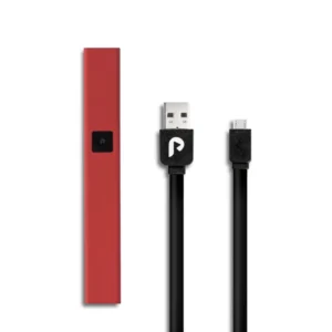 PLUGPlay Red Battery + Charger
