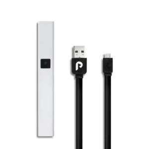 PLUGPlay Gray Battery + Charger