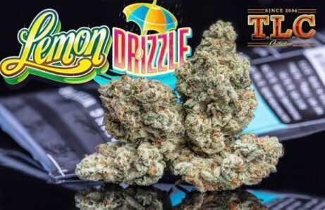 Jungle Boys Lemon Drizzle