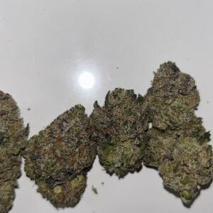 gushlato weed strain