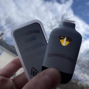 Smoothie Bar Blend 2g Dual Tank switch Disposable