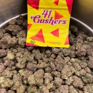 41 Gushers Strain