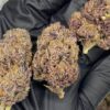 Purple nerds strain