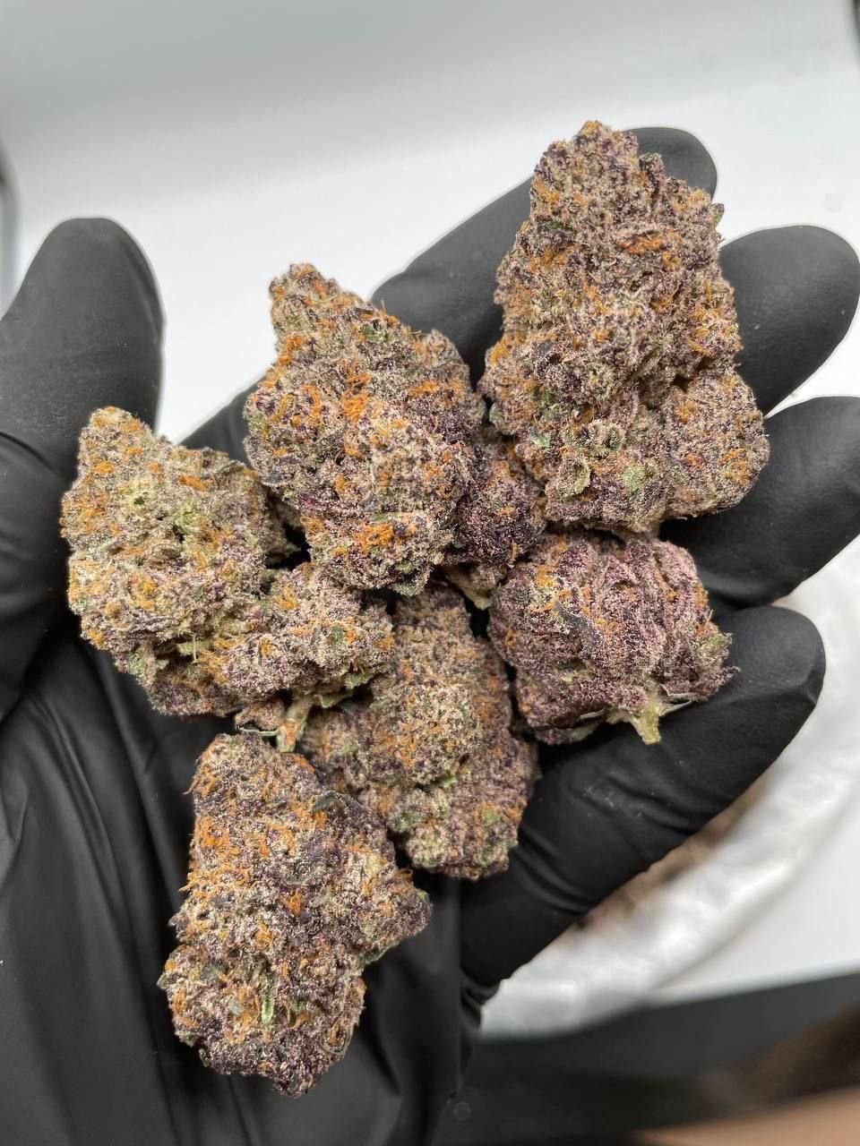 Purple nerds strain - Image 2